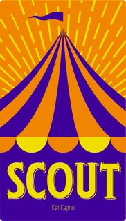 Caja de Scout
